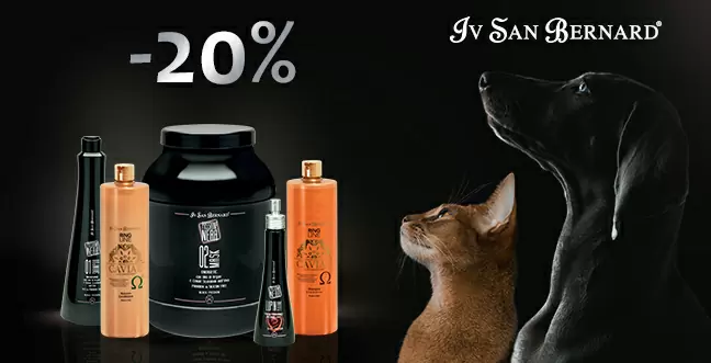 Скидка 20% на линейки Caviar и Black Passion Iv San Bernard