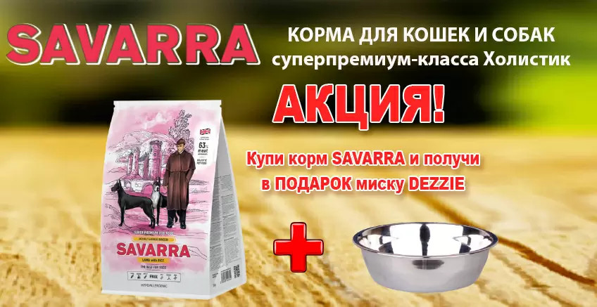 Миска в подарок при покупке Savarra