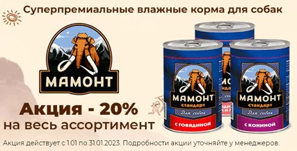 Скидка 20% на влажный корм Мамонт для собак!