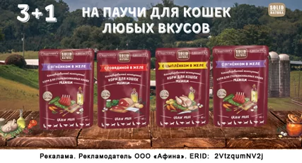 3+1 на паучи для кошек Solid Natura Premium