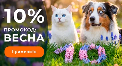 Скидка 10% на весь ассортимент!