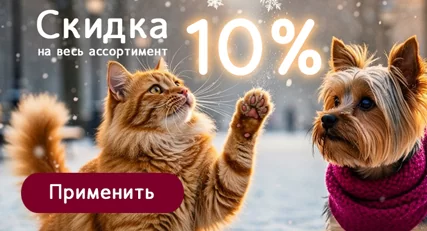 Скидка 10% на весь ассортимент!
