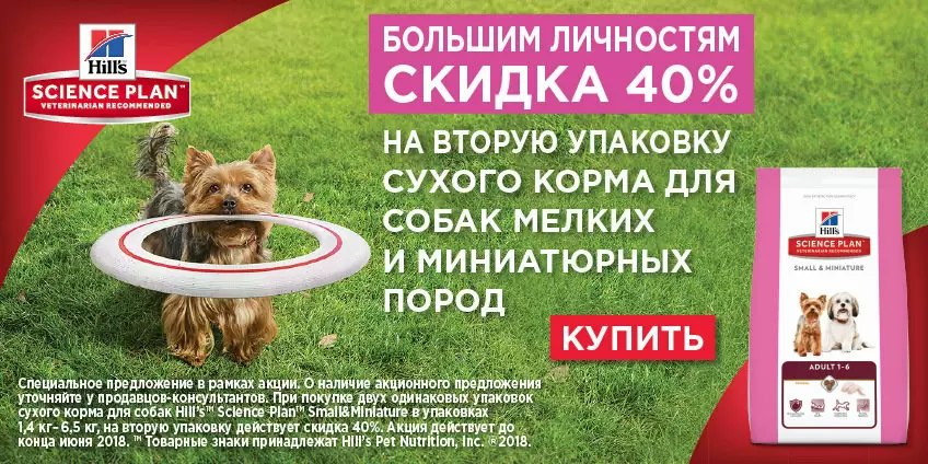 Скидка 40% на второй мешок корма Hills!