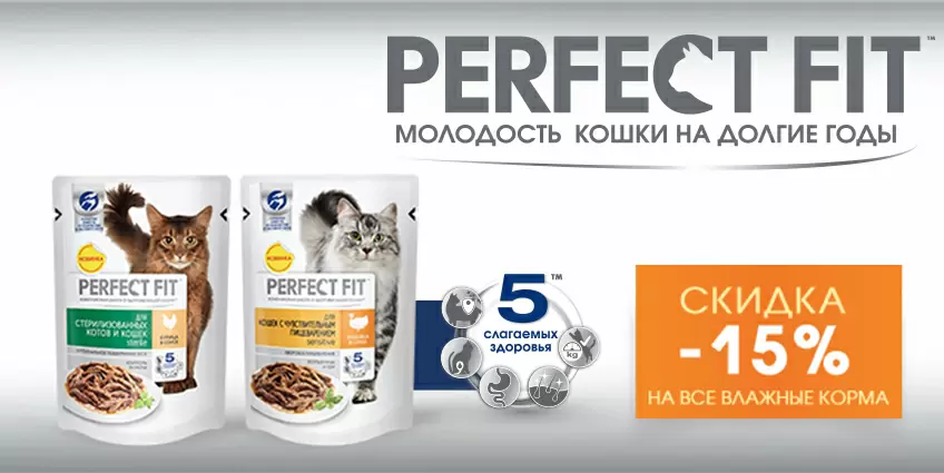 Скидка 15% на паучи Perfect Fit
