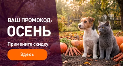 Скидка 10% на весь ассортимент!
