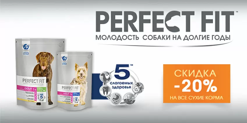Скидка 20% на сухие корма Perfect Fit