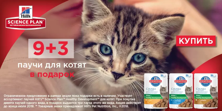 Корм Hills в подарок