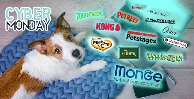 Киберскидки на Monge и Мнямс для кошек и собак!