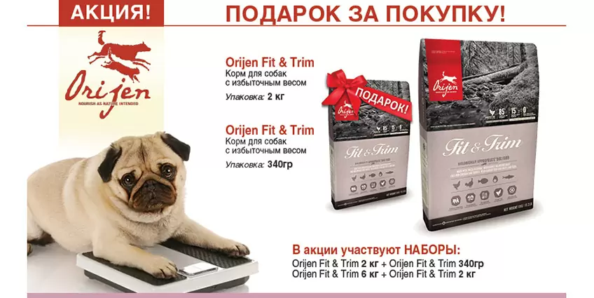 Упаковка Orijen Fit & Trim в подарок!
