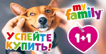 Второй адресник My Family в подарок