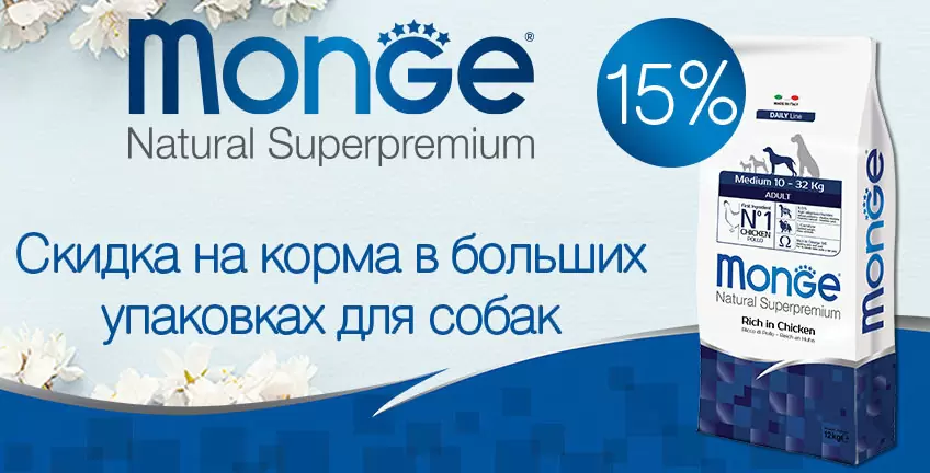 15% на большие упаковки корма Monge для собак!