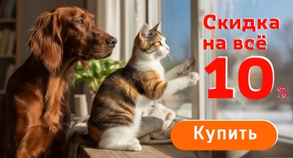 Скидка 10% на весь ассортимент!