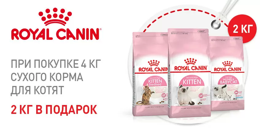 2 кг корма для котят Royal Canin в подарок!