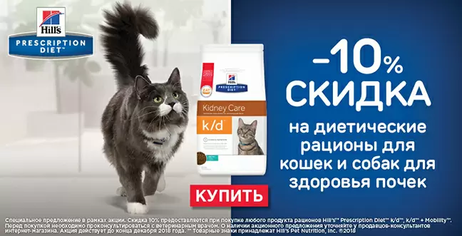 Скидка 10% на диетические корма Hills