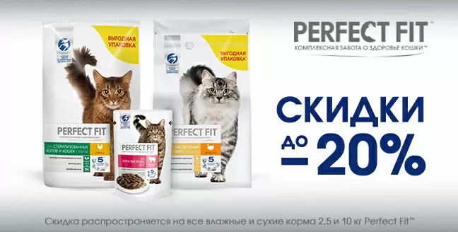 Скидка до 20% на Perfect Fit!