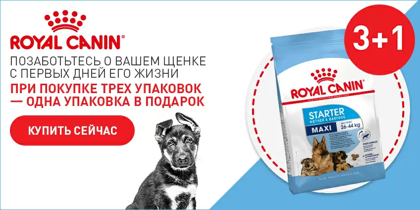 Четвертая упаковка Royal Canin для щенков бесплатно!