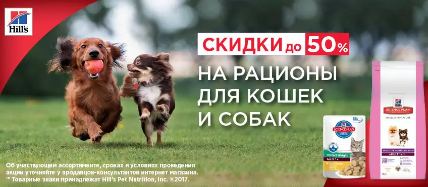 Скидки до 50% на корм Hills для собак и кошек! 