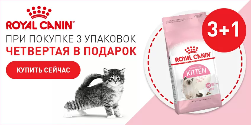 Четвертая упаковка Royal Canin для котят бесплатно!