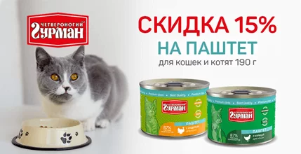 Скидка 15% на корм для кошек Четвероногий гурман!
