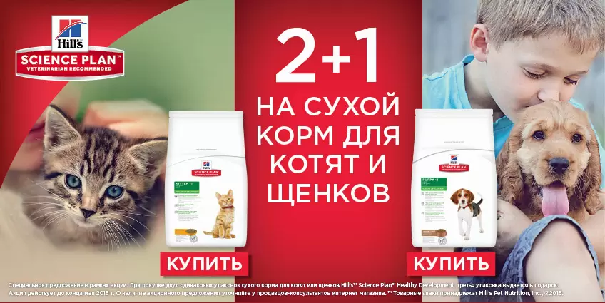 Получите упаковку корма Hills для щенков и котят бесплатно!