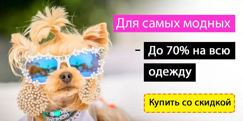 Распродажа одежды для собак. Скидки до 70%