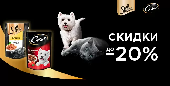 Скидка 20% на влажные корма Sheba и Cesar!