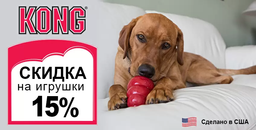 Скидка 15% на игрушки Kong для собак и кошек!