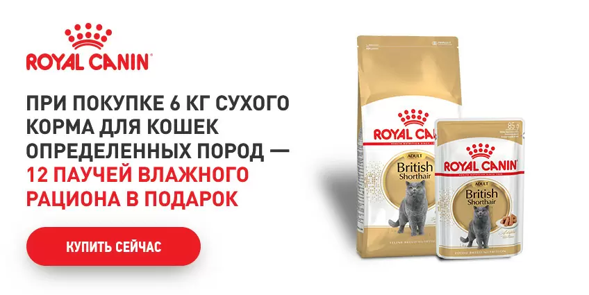 При покупке сухого корма Royal Canin 12 паучей в подарок!