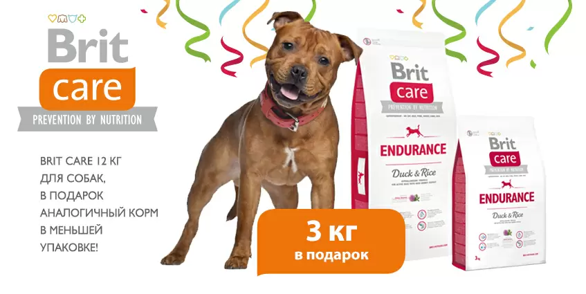 Получите 3 кг сухого корма Brit для собак в подарок!