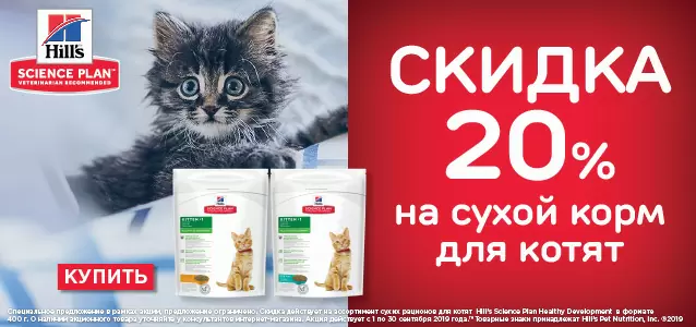 Скидка 20% на корма Hills для котят