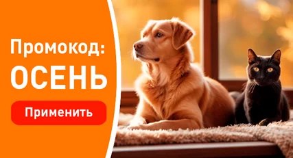 Скидка 10% на весь ассортимент!