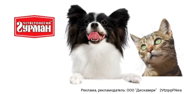 Гурман