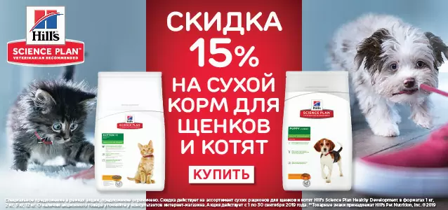 Скидка 15% на корма Hills для котят и щенят