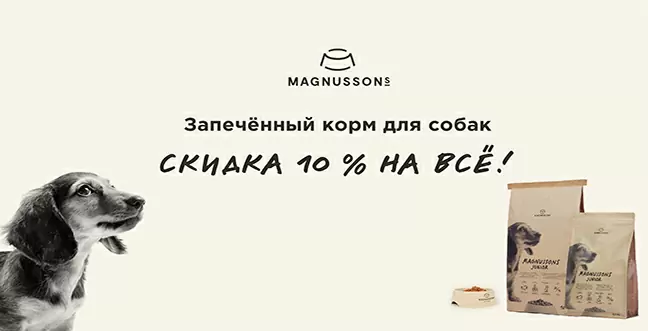 Magnusson со скидкой 10%