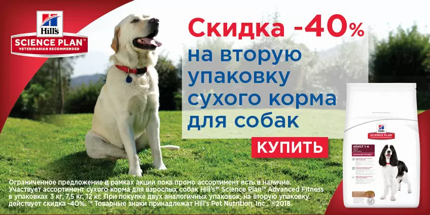 40% на вторую упаковку корма Hills для собак!