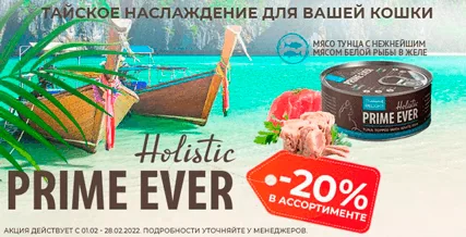 Скидка 20% на консервы Prime Ever для кошек!