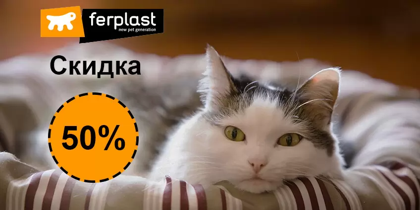 Скидка 50% на Ferplast