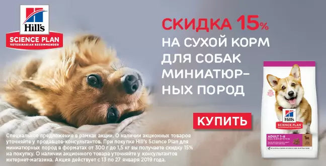 Скидка 15% на корма Hills для собак мелких пород.
