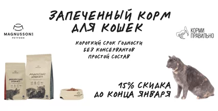 Скидка 15% на корм Magnusson для кошек!
