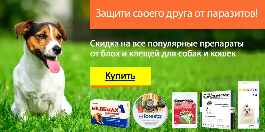 Скидка на все препараты от блох и клещей!