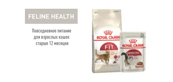 Корма для кошек Royal Canin Feline Health купить в Москве