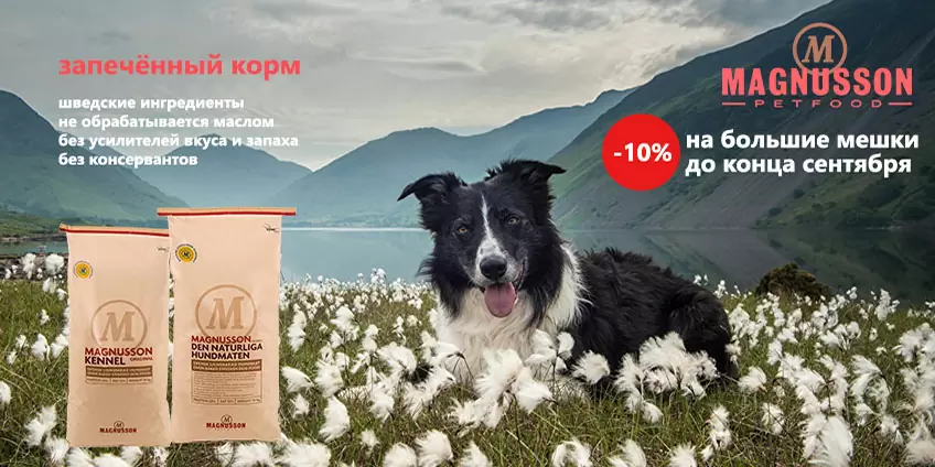 Скидка 10% на Magnusson