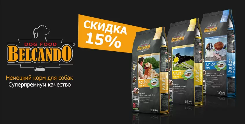 15% на сухой корм Belcando для собак! 