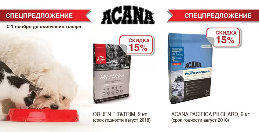 15% скидка на сухой корм Acana и Orijen для собак!