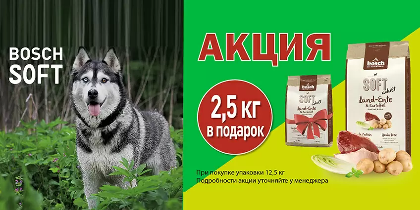 2.5 кг корма Bosch в подарок!