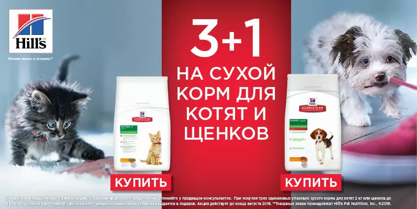 Упаковка корма Hills для котят или щенков бесплатно