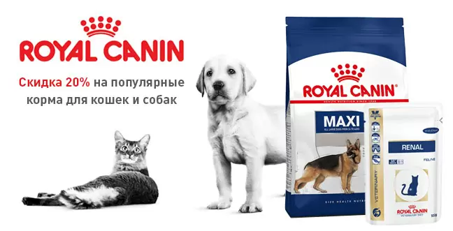 Royal Canin со скидкой 20%