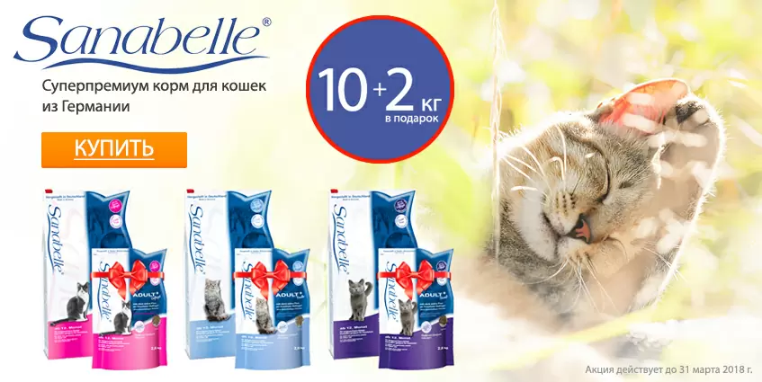 Получите 2 кг корма Sanabelle в подарок!