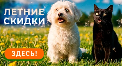 Ликвидация! Скидки до 70% на выделенный ассортимент!