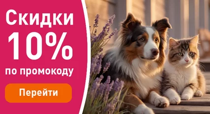 Скидка 10% на весь ассортимент!